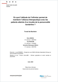 Travail de Bachelor 2025.pdf